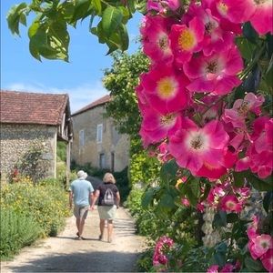 Meet your Posher, Brandi